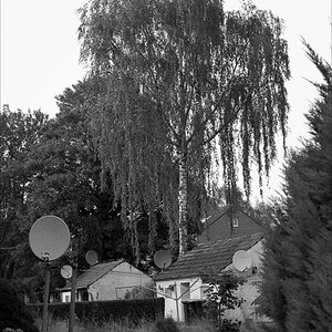 16800f7kodaktmax400vorgartenidyllr