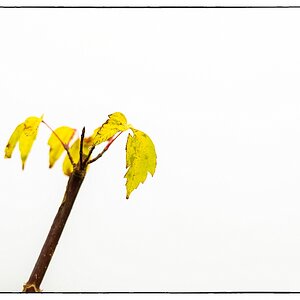 F005019 2c