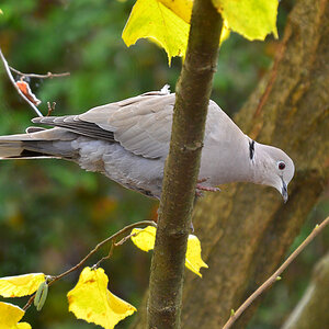 DSC 2589 khg