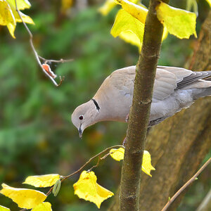 DSC 2590 khg
