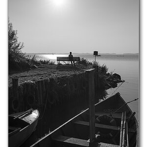 gegenlicht2