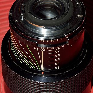 DSC 8590
