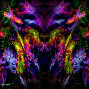 comp Rorschachtest   Bunte Blätter