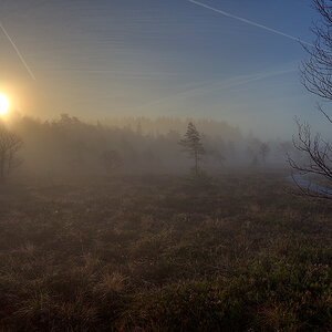 Schwarzes Moor 002
