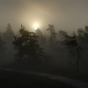 Schwarzes Moor 003