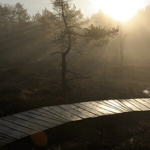 Schwarzes Moor 010