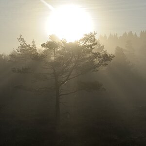 Schwarzes Moor 012