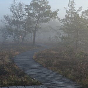 Schwarzes Moor 013