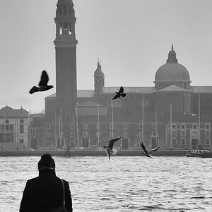 venedig nebel 8