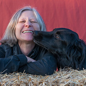 isolde und Dana