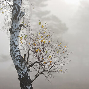 Schwarzes Moor 03