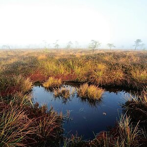 Schwarzes Moor 05