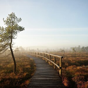 Schwarzes Moor 08