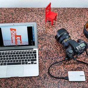 ©MaximilianWeinzierl©MaximilianWeinzierl©MaximilianWeinzierlMACbookFerns