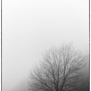 WaldPZ1 4105