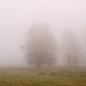 Schwarzes Moor 01