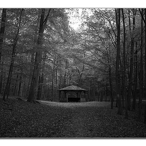 schwerterwald