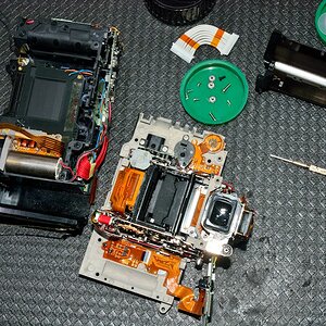 DSC 8681