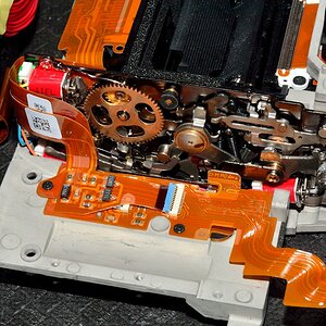 DSC 8682