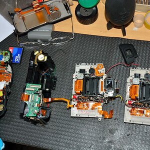 DSC 8683