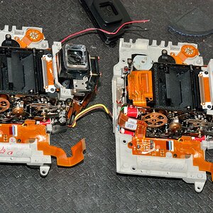 DSC 8684