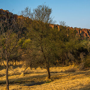 Waterberg