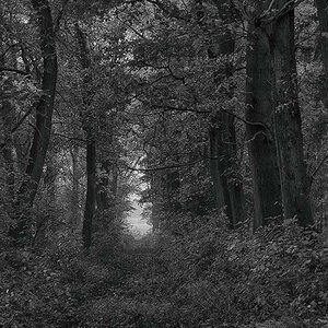 Schleichweg PPOD0952