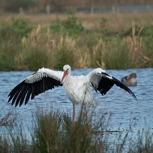 20141102 0027 [NIKON 1 V1] 300 mm,1 640 Sek. bei ƒ   5,6 2