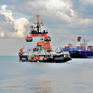 MSC Rita