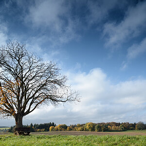 herbst