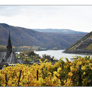Bingen