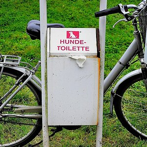 Hundeklo