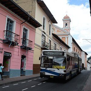 s255 O Bus 0954