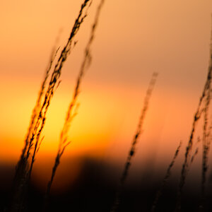 20141123 DSC 0003 2