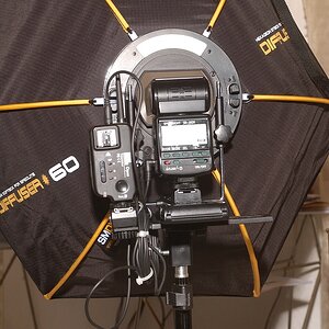 KR DSC 0727
