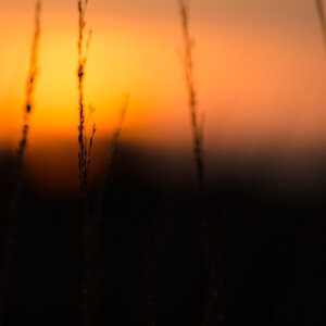 20141123 DSC 0004 2