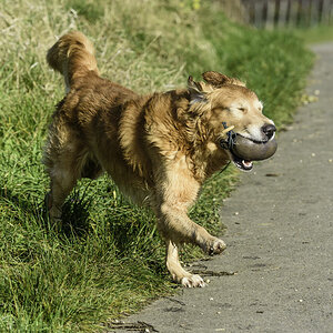 Crusoe als Schlafwandler