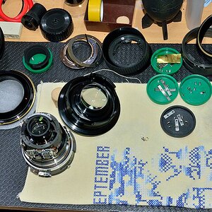 DSC 8750