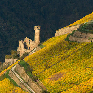Ruine Ehrenfels 4861