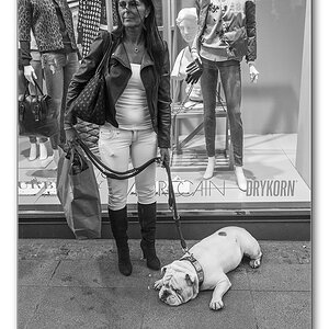 frau und hund