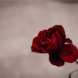 D3H 6914 web
