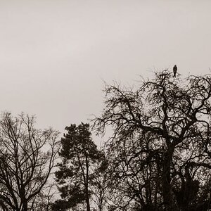 87/364