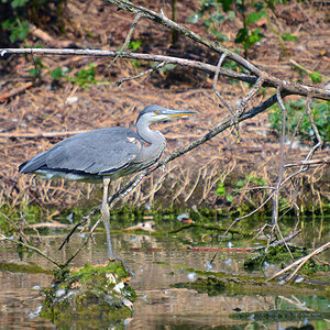 DSC 2107 khg