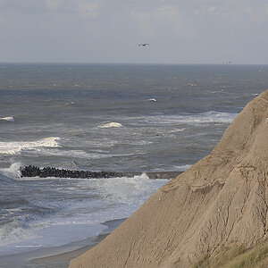 Bovbjerg-Klippen (Mittelwestjütland, DK) D2X9841x
