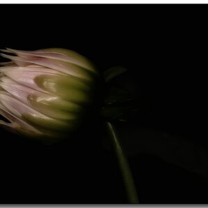 KR DSC 0304 M