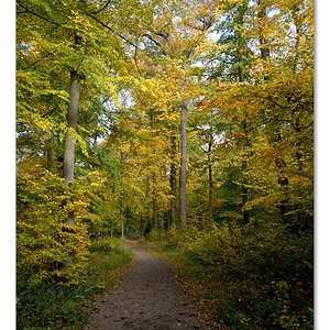 wald2