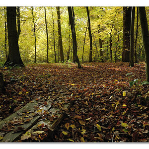 wald5