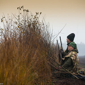 Moor www