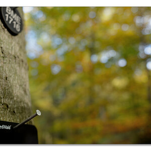 wald9