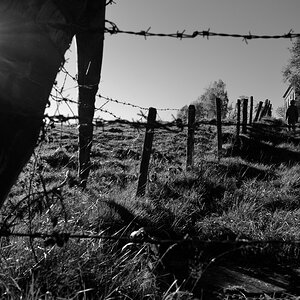 Herbstsonne